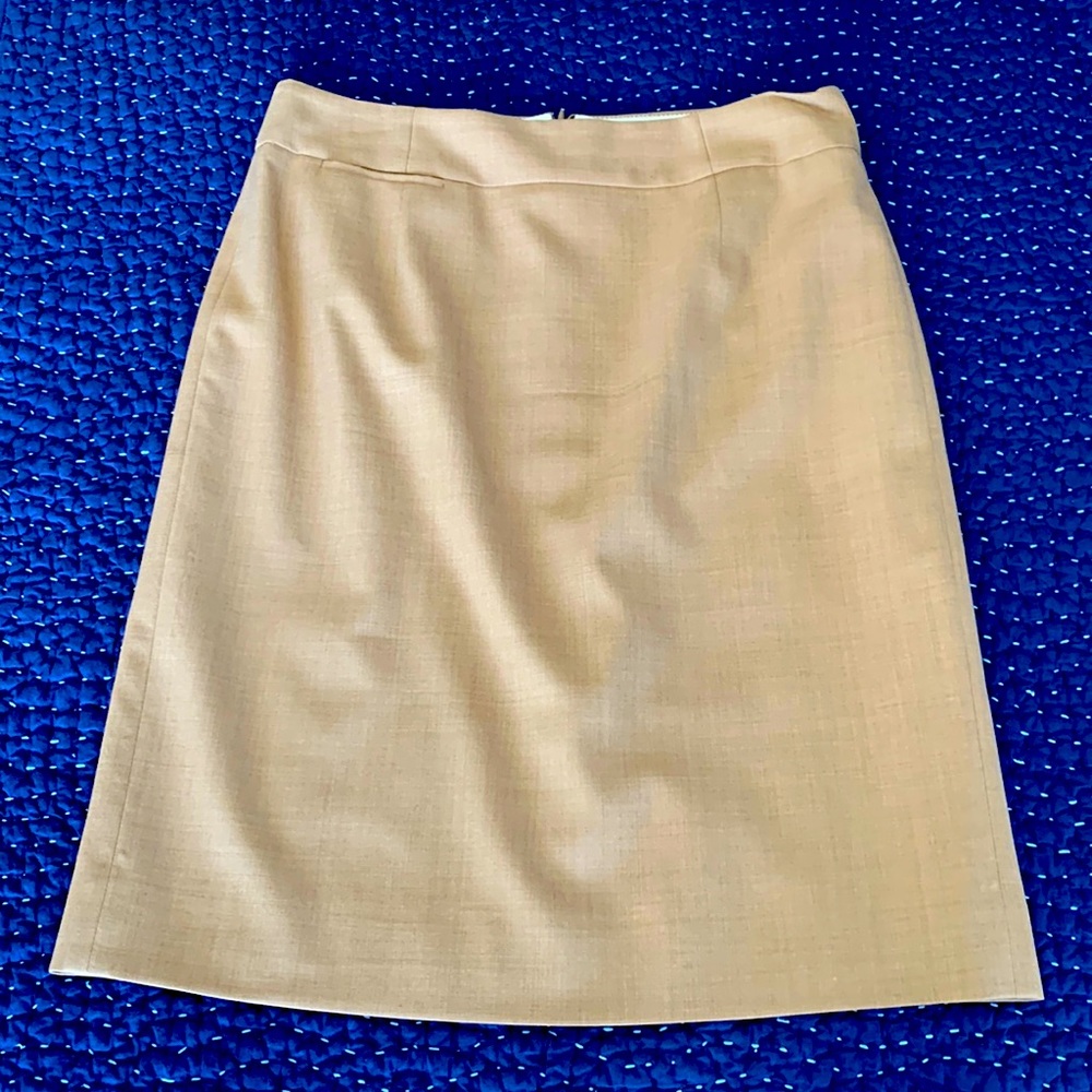 J Crew lined skirt with back kick slit